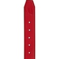 thumbnail image 4 of Champro Classic Belt Scarlet L, 4 of 4