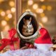 thumbnail image 5 of Decoraciones de Árboles de Navidad Animales Decoraciones de Navidad Árboles de Navidad Impresión de Animales Decoraciones de Acrílico Bosque Decoraciones de Animales Decoraciones de Navidad Regalos De, 5 of 8