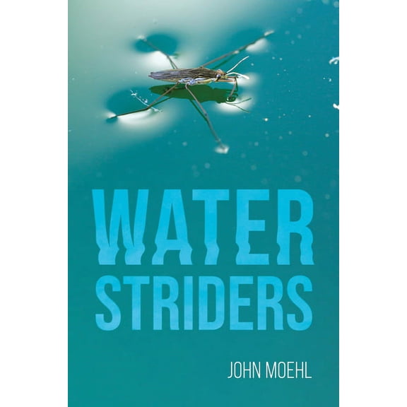Water Striders (Hardcover)