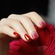 thumbnail image 4 of 24 Uds puntas de uñas postizas Gouache de Color degradado herramienta de prensa de cobertura completa para uñas Likrtyny Cuidado Belleza, 4 of 9