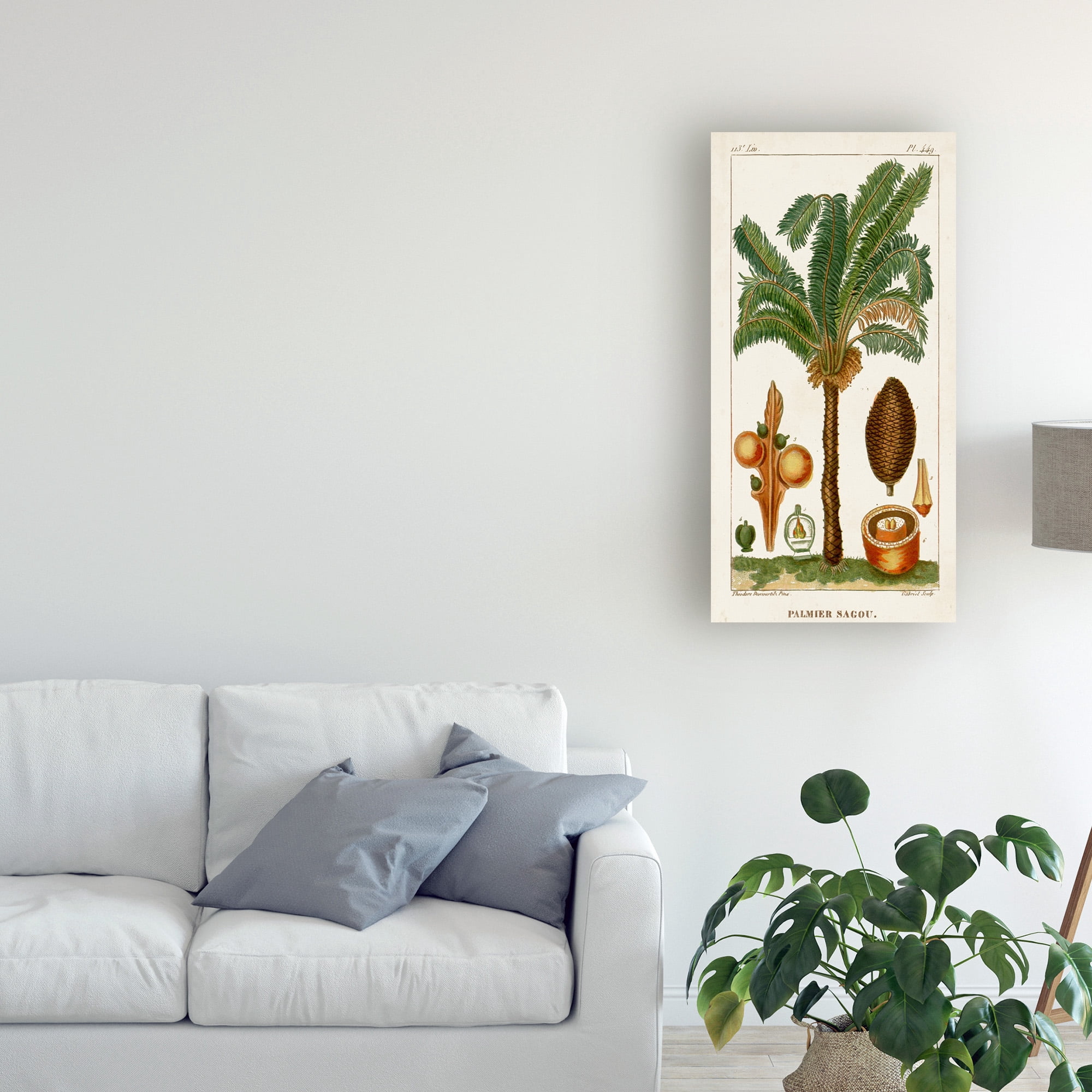 Trademark Fine Art 'Turpin Exotic Palms VII' Canvas Art by Turpin