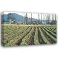 thumbnail image 1 of Dana Styber 40x28 Gallery Wrapped Canvas Wall Art Titled - Daffodil Harvest I, 1 of 4