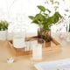 thumbnail image 5 of Juego de 6 jarrones cilíndricos de vidrio de 10 cm (alto) x 8,4 cm (ancho), botellas transparentes para plantas hidropónicas, centros de mesa decorativos modernos., 5 of 6