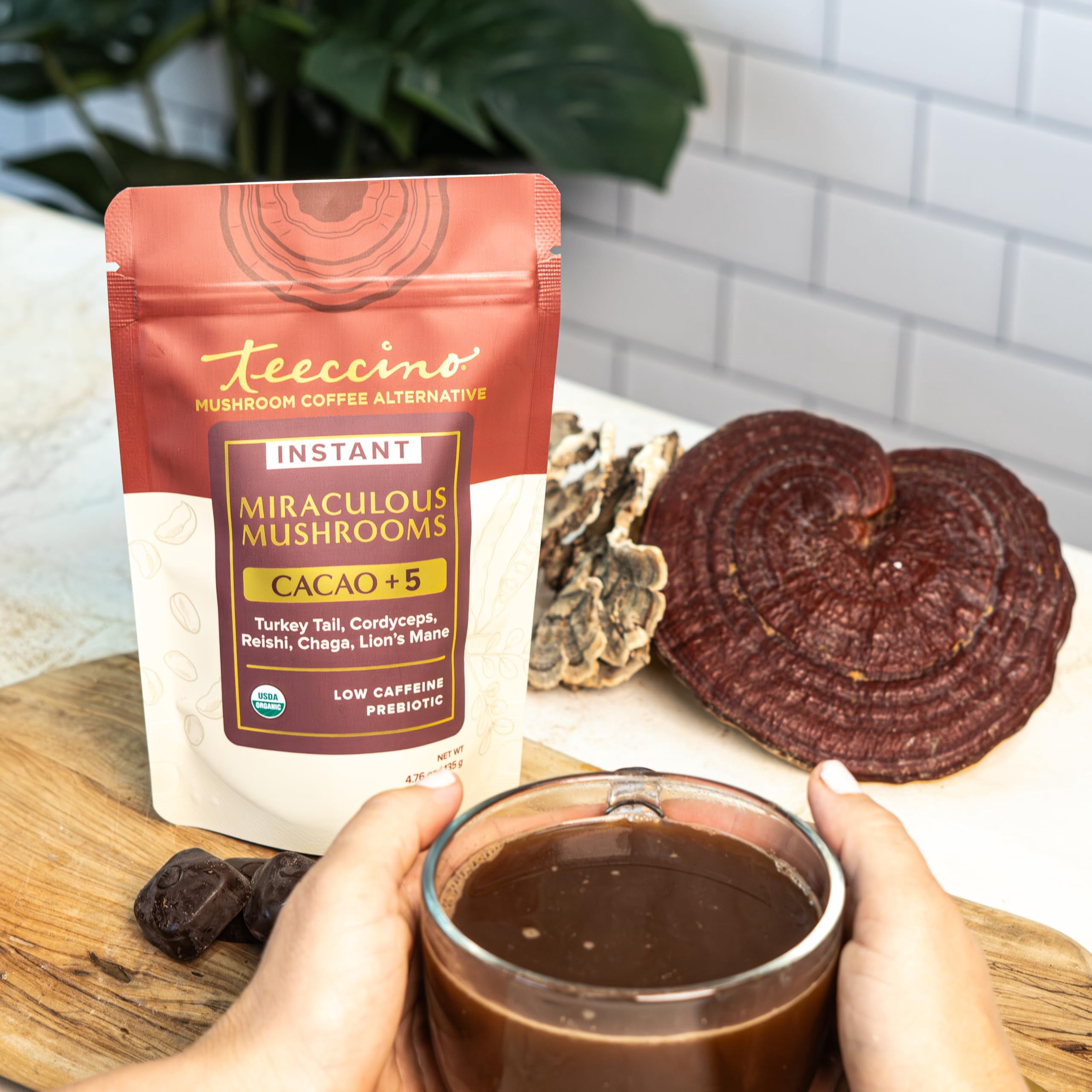 Miraculous Mushrooms Instant Cacao+5 Coffee Alternative by Teeccino – 15 servings - 5 Organic Adaptogenic Mushrooms with Cacao - Reishi, Lion’s Mane, Chaga, Turkey Tail, Cordyceps  - 4.7 ounces