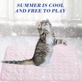 thumbnail image 4 of LADIGASU Cool Feeling Cats - Breathable Cool Small Mat - Spring And Summer Dog Bed Kennel - Pet Cats Mats, 4 of 5