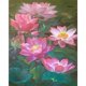 thumbnail image 2 of Cuadros Decorativos Kit de pintura por números DIY Lotus Hand Oil Art Picture Craft Home Wall Decor (B2173) Tmvgtek embutido en tela, 2 of 9