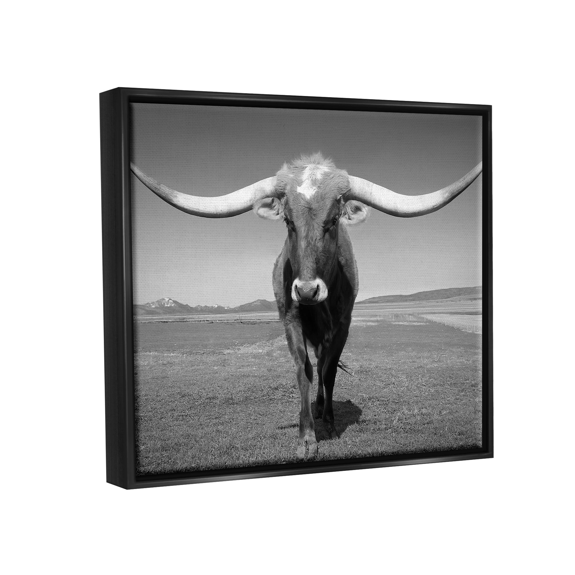 Stupell Industries Longhorn in Countryside Landscape Photography Black Floater Framed Canvas Art Print Wall Art, 21 x 17