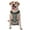 Without Accessories, variant on Vsdgher Hedgehogs and Flowers Pattern Dog Harness,No Pull Pet Harness with Soft Padded Handle,Adjustable Reflective Vest with 2 Buckles,4 Slide Buckles,S-XL Medium