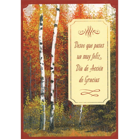Designer Greetings Tall Birch Trees in Autumn Forest Spanish Language Thanksgiving Card