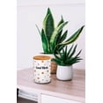 thumbnail image 4 of FASHIONCRAFT 88088 White Canister Stash Jar, Good Vibes Novelty Stash Jar, 4 of 5