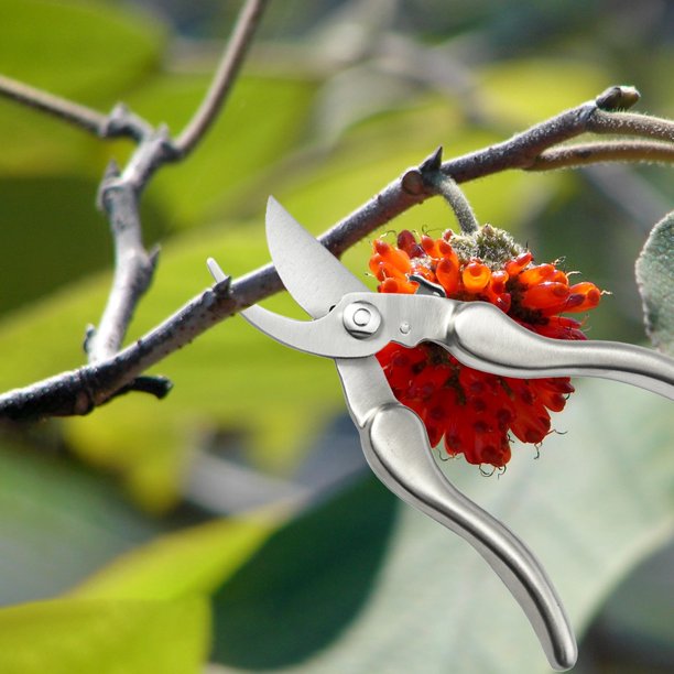 Tijeras de podar de jardín de acero inoxidable | Hoja afilada de acero inoxidable | Empuñadura ergonómica | Mecanismo de bloqueo | Resistente a la oxidación | Diseño compacto | Herramientas de
