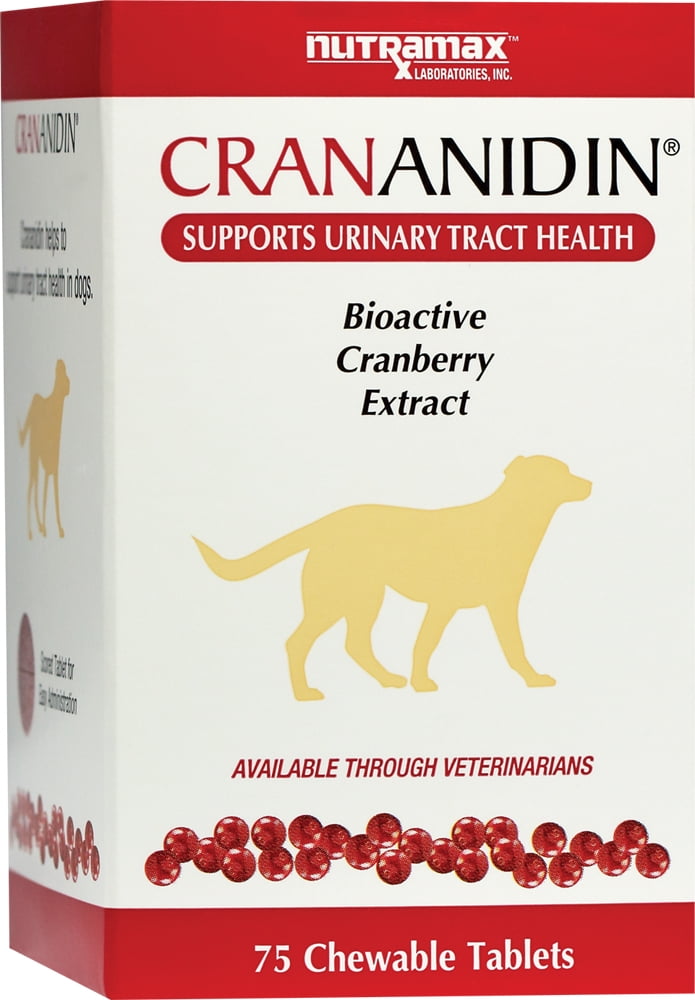 uti medicine for dogs walmart