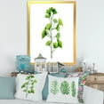 thumbnail image 3 of Designart 'Green Field Plant Foliage Branch' Farmhouse Framed Art Print, 3 of 4