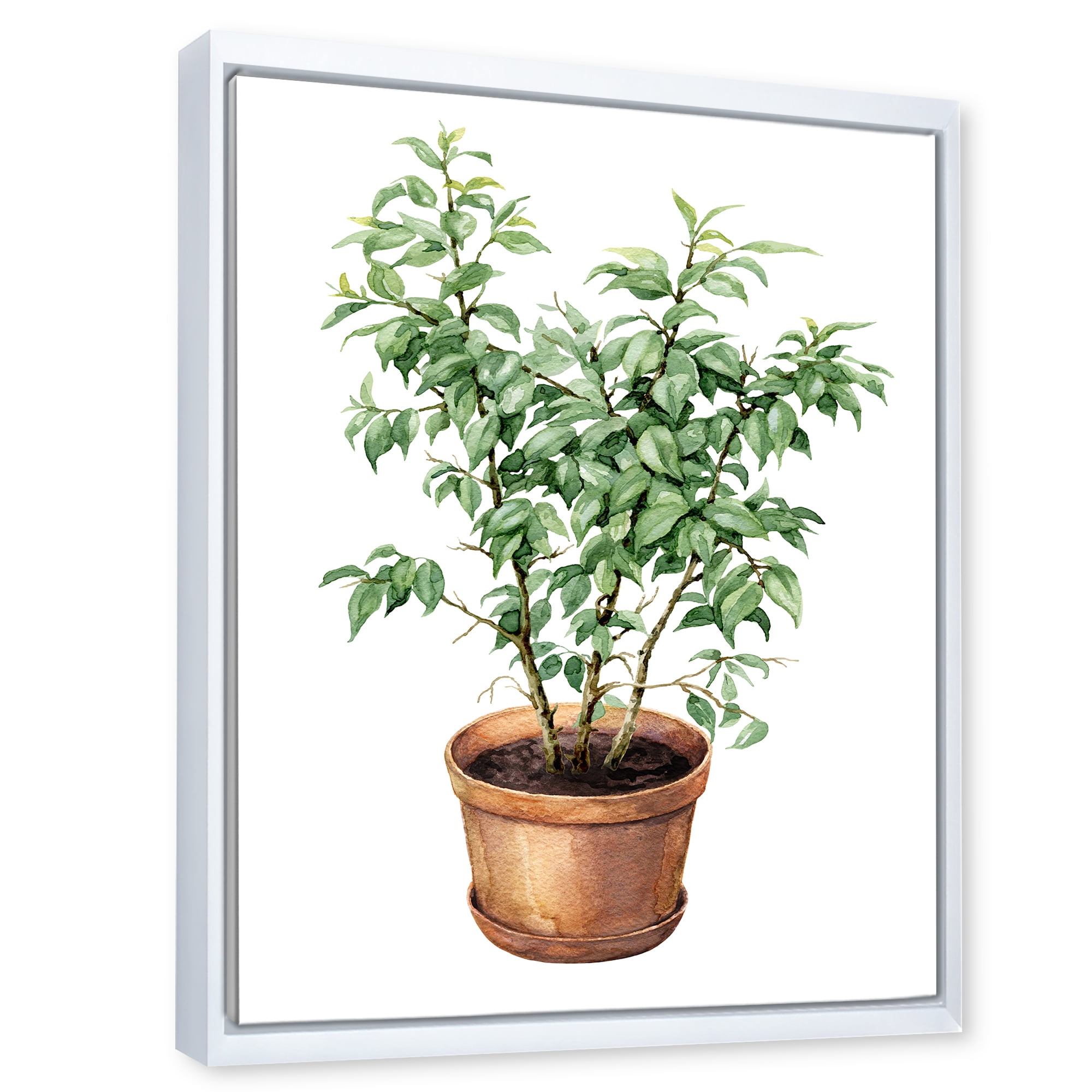 Designart 'Ficus Benjamina Plant In Clay Flowerpot' Traditional Framed Canvas Wall Art Print