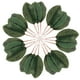 thumbnail image 4 of BRIGHTFUFU 30 piezas de hojas de magnolia artificial adornos falsos adornos de la flor de la flor hojas falsas, 4 of 7