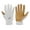 White, variant on X1 Color Rush Adult Baseball Batting Gloves - Durable Cabretta Leather Palm - 11 Colorways