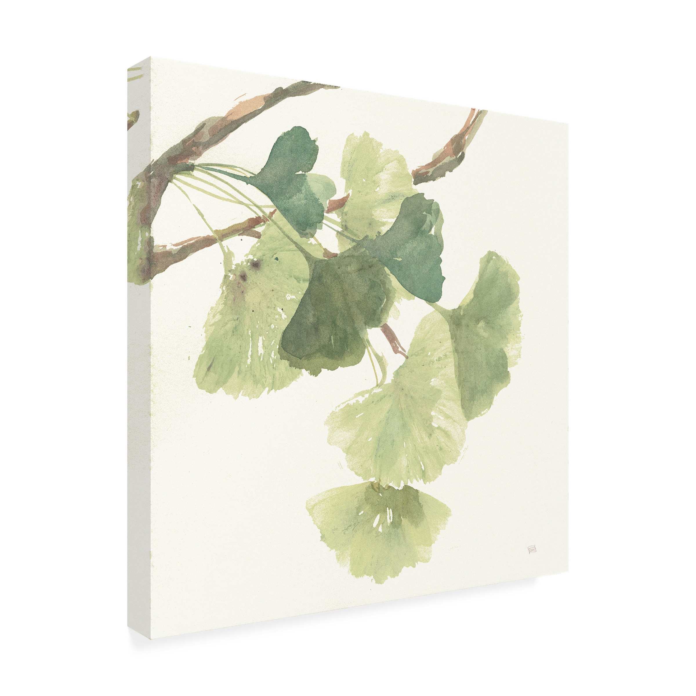 Trademark Fine Art "Gingko Leaves I Light" Canvas Art by Chris Paschke
