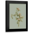 thumbnail image 1 of Murdock, Ramona 13x18 Black Modern Framed Museum Art Print Titled - Wild Clover, 1 of 5
