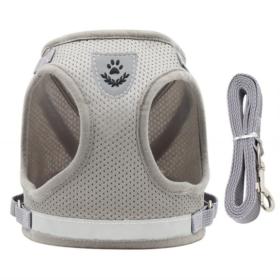 GASTROPOD Dog Harness Pet Vest Adjustable Leash 45-50cm Chest Cat Harness and Leash Breathable Mesh Comfortable Fit Dog Harness Small Sized Dog 120cm,Gray
