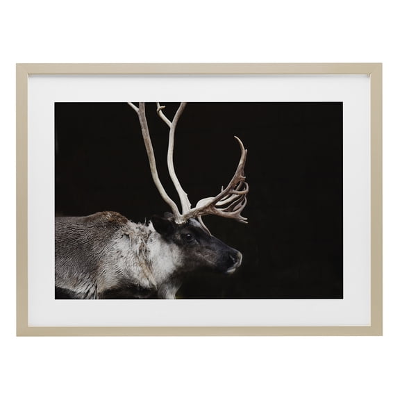 Stupell Industries Rustic Lodge Dark Reindeer at Night Birch Framed Print Under Glass, 20 x 14, by Amy Carroll