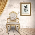 thumbnail image 3 of Stellar Design Studio 14x18 Gold Ornate Wood Framed with Double Matting Museum Art Print Titled - Butterfly Medley II, 3 of 4