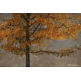 thumbnail image 2 of Vitaly Geyman 44x31 Gallery Wrapped Canvas Wall Art Titled - Tree Angel I, 2 of 4