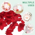 thumbnail image 5 of Uxcell 10-Pack Artificial Plumeria Flower Heads, 3.94"/ 10cm Fake Plumeria Flowers Silk for DIY Crafts, Red, 5 of 6