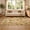 Color 1, variant on Gelasgo Autumn Pumpkin Sunflower Velvet Area Rug, Soft Thanksgiving Harvest Floral Decorative Accent Floor Mat Carpet for Living Room