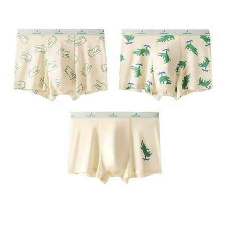 

Chenyuanyuan Boys Underwear Kids Cute Comfortable Briefs Shorts Pants Cotton Underwear Trunks 3PCS Size10-11 Years