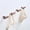 B, variant on Solid Wood Wall Hooks T Shaped Towel Rack Natural Finish 1 Pack for Bathroom Kitchen Entryway Coat Hook with Screws