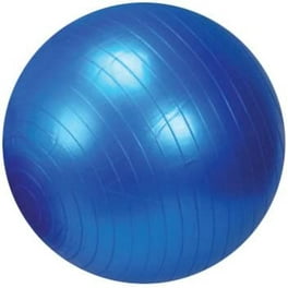 GYMNIC PHYSIO ROLL 直径40cm GYMNIC PHYSIO ROLL 直径40cm