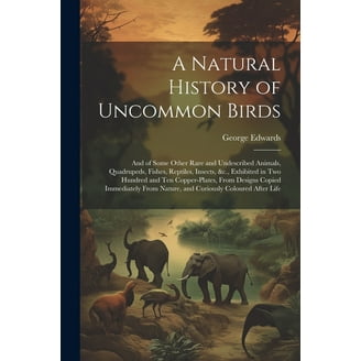 Raptor Research and Management Techniques (Paperback) - Walmart.com