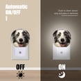 thumbnail image 4 of Night Light Plug into Wall,Dusk to Dawn Sensor Auto-On/Off for Bathroom, Hallway,Kids Room-Realistic Portrait Of Australian Shepherd Dog, 4 of 4