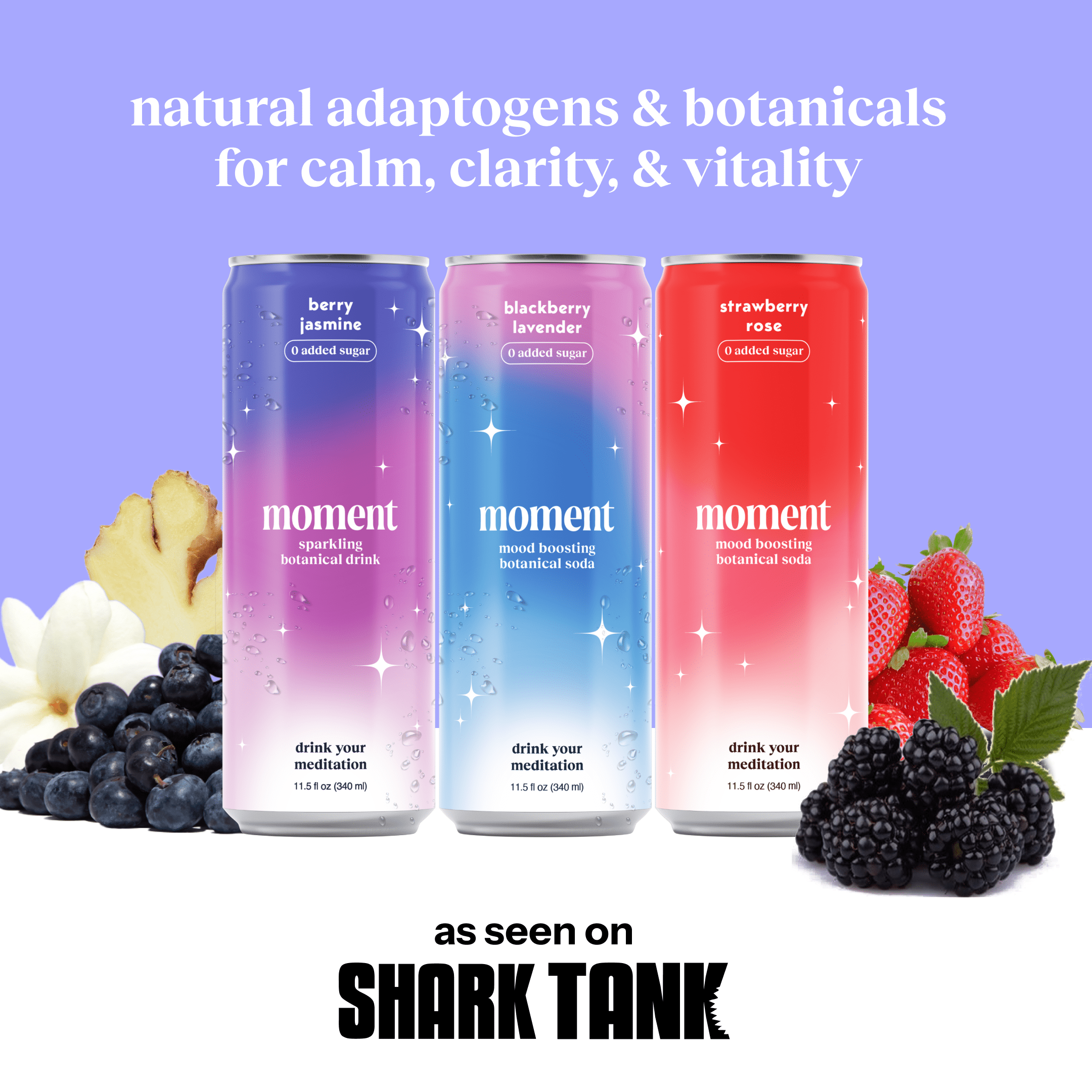 Moment Botanical Soda Soft Drink (Shark Tank) - SPARKLING Drinks | Berry Blast | L-Theanine & Ashwagandha for Calm & Clarity | 0 Added Sugar 0 Caffeine | 12-pack