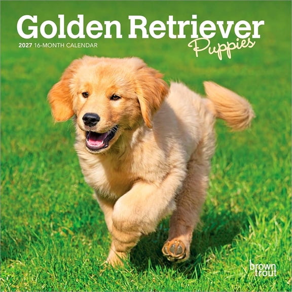 Golden Retriever Puppies 2027 7 X 14 Inch (Hanging) Monthly Mini Wall Calendar, (Paperback)