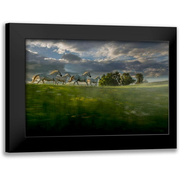 Malovrh, Milan 14x11 Black Modern Framed Museum Art Print Titled - In The Morning Pink
