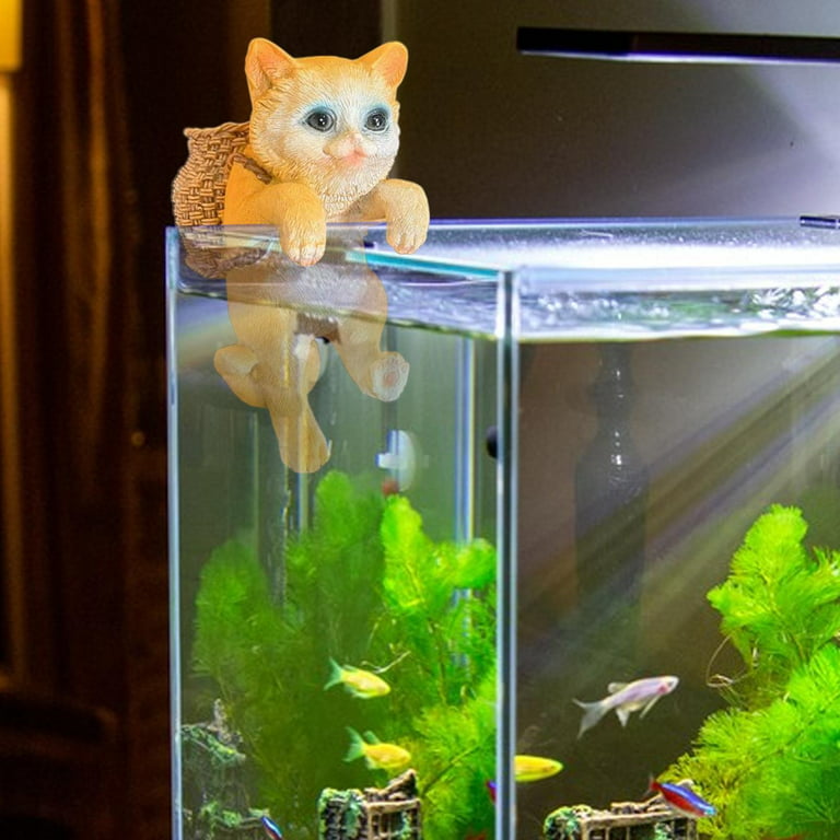 My DIY Mini Aquarium Fish Tank (Live Landscape Aquarium)