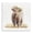 Ollie The Highland Cattle, variant on Stupell Industries Farmhouse Blossom Babe Cattle Canvas Art, 17 x 17, by Sara G. Designs