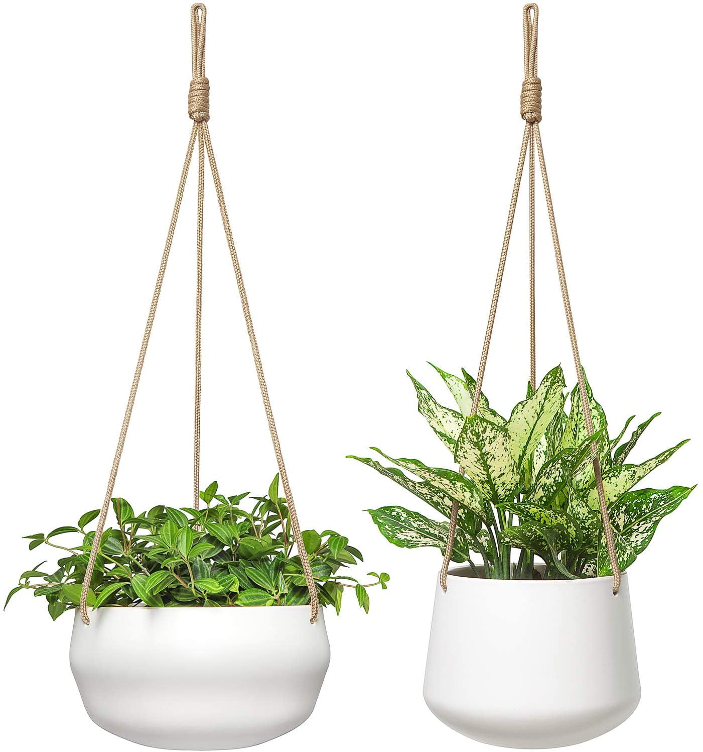 Ceramic Hanging Planter of Shallow 8 Inch and Deep 6 Inch