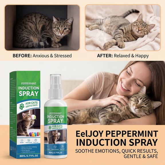 Mint Pet Training Spray 80ml, Attract and Soothe Dogs for Interactive Play, Calming Spray for Pets