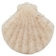 thumbnail image 4 of Esponja Facial de Konjac, Limpieza Exfoliante Exfoliante Cara Hojaldre Eliminación de Maquillaje reutilizable para niños para cuidado de la piel para adultos para viajes, 4 of 7