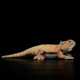 thumbnail image 3 of 46cm Simulation Pogona Vitticeps Lguana Lizard Cute Realistic Stuffed Plush Toy Soft Agamidae Animals Doll Model For Kids Gifts Tw, 3 of 5