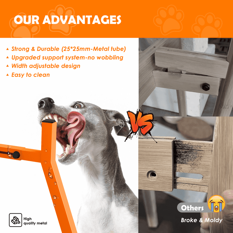 angled cat food bowls Elevated Cat Bowls Set