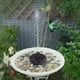 thumbnail image 1 of Fuente Fuente Eléctrico Bomba de fuente de agua de baño de pájaro de estanque de fuente de energía solar flotante (16 cm), 1 of 8