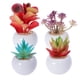 thumbnail image 1 of 4 mini suculentas artificiales decorativas con macetas blancas (multicolor), 1 of 5