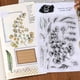 thumbnail image 5 of Sellos de plantas sellos decorativos fáciles de usar 2 piezas para páginas de álbumes de recortes ANGGREK Otros, 5 of 8