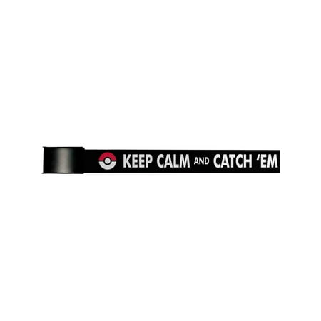 Pokemon Animated TV Series Keep Calm And Catch Em All Web