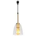 thumbnail image 1 of FSLiving Dimmable J Type Track Light Pendants Retro Lighting Industrial Light Fixtures E26 Socket Clear Bell Glass 3.2 Ft, Track Mount Industrial Style for Barn Kitchen Island Planting Customizable, 1 of 9