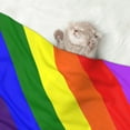 thumbnail image 7 of Flannel Throw Dog Blanket Gay-Pride Flag Soft Warm Print Pet Blankets for Small Dog Cat Puppy, 7 of 7