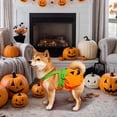 thumbnail image 5 of Pumpkin Pet Sling Costume, Cute Halloween Cosplay Dress‑Up Outfit for Small Medium Dogs and Cats, Holiday Party Wear, 5 of 9